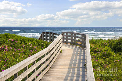 Roses Rights Managed Images - Walkway to ocean beach 1 Royalty-Free Image by Elena Elisseeva