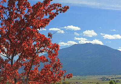 Wild Horse Paintings - DN5930-Wallowa Valley in Fall by Ed  Cooper Photography
