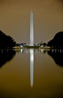 Af Vogue - Washington Monument 2 by David Berg