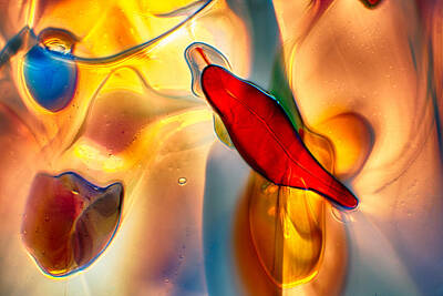 From The Kitchen - Chili Pepper On A Golden Morning by Omaste Witkowski