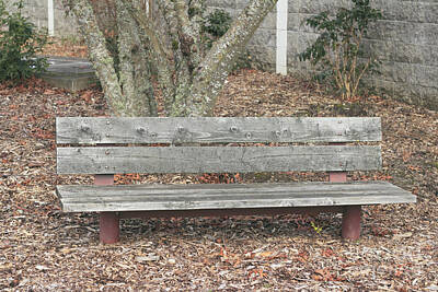 Adventure Photography - Weathered Park Bench by Lee Serenethos