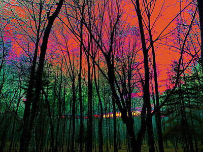 Maps Rights Managed Images - Webbs Woods Sunset Royalty-Free Image by Priscilla Batzell Expressionist Art Studio Gallery