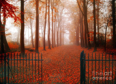Landscapes Photos - Welcome by Jacky Gerritsen