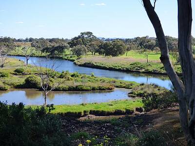 Sean Rights Managed Images - Werribee River Bend Royalty-Free Image by Michaela Perryman