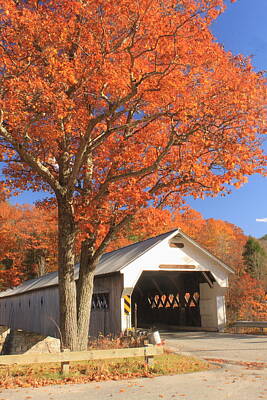 Grace Kelly Rights Managed Images - West River Covered Bridge Vermont Fall Foliage Royalty-Free Image by John Burk