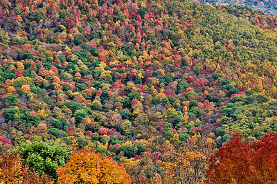 Wine Down Rights Managed Images - West Virginia Hillside Royalty-Free Image by Steve Stuller