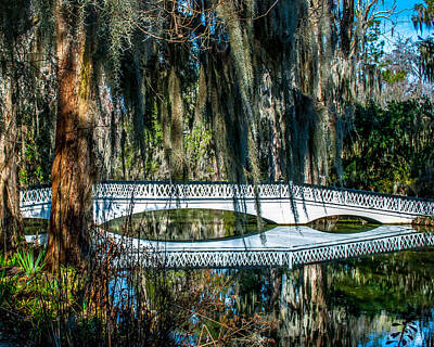 Lets Be Frank - White Bridge in Charleston by Optical Playground By MP Ray