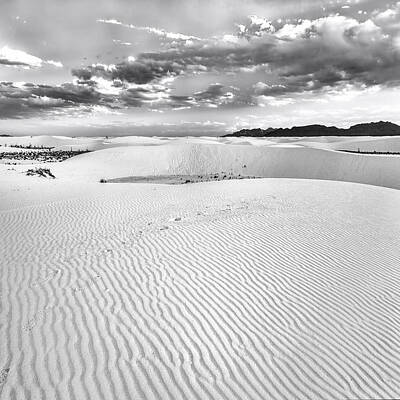 Home For The Holidays - White Sands #7 by Diana Powell