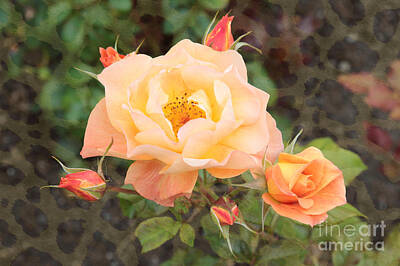 Just In The Nick Of Time - Wild Rose by Carol Groenen