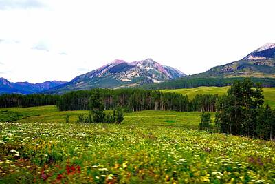 Man Cave Royalty Free Images - Wildflowers of Crested Butte Royalty-Free Image by Gerald Blaine