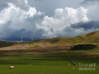 Sultry Plants Rights Managed Images - Wind Farm and Storm Clouds Royalty-Free Image by Phil Banks