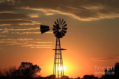 Neutrality - Windmill Silhouette with Orange Blazing Sky by Robert D  Brozek