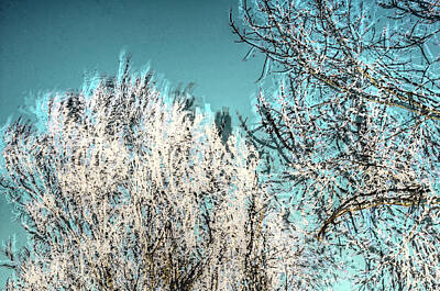 Recently Sold - Jerry Sodorff Royalty Free Images - Windy Trees 13023 Royalty-Free Image by Jerry Sodorff
