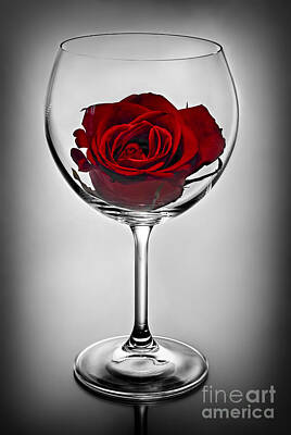 Kitchen Food And Drink Signs - Wine glass with rose by Elena Elisseeva