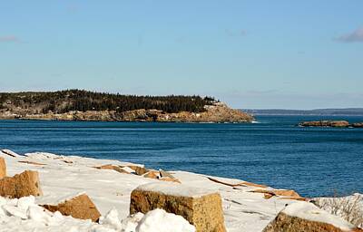 Food And Beverage Signs - Winter along Ocean Drive Acadia Maine by Lena Hatch