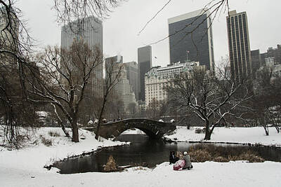 Periodic Table Of Elements - Winter in Central Park by Theodore Jones