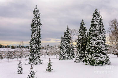 Landscapes Kadek Susanto - Fabulous winter. by Viktor Birkus