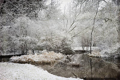 Garden Tools - Winter Serenity Grand Rapids Michigan by Evie Carrier