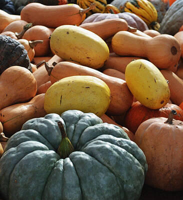 Luck Of The Irish - Winter Squash by Holly Blunkall