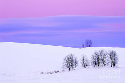Landscapes Royalty-Free and Rights-Managed Images - Winter Twilight Landscape by Alan L Graham