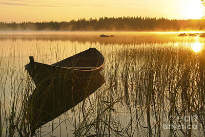 Monets Water Lilies - Wooden boat by Veikko Suikkanen