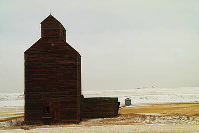 Birds Rights Managed Images - Wooden Silo Royalty-Free Image by Jeff Swan