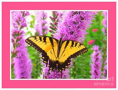 Truck Art - Yellow Swallowtail Butterfly V1 by Scott Cameron