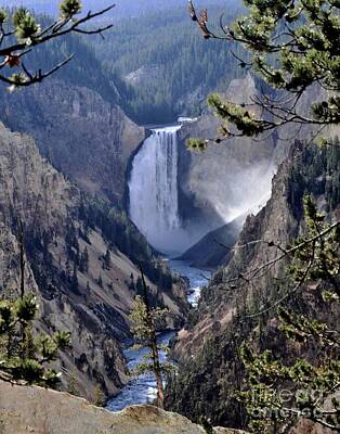 Jazz Collection - Yellowstone Lower Falls by Kathleen Struckle