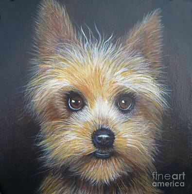 Legendary And Mythic Creatures Rights Managed Images - Yorkshire Terrier by Monika Royalty-Free Image by Monika Shepherdson