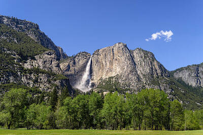 Abstract Animalia - Yosemite Great Falls by Francesco Emanuele Carucci