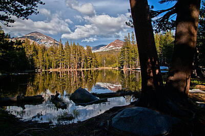 Mammals Royalty-Free and Rights-Managed Images - Yosemite Reflecting Pond by Cat Connor