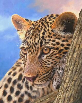 Back To School For Guys - Young Leopard by David Stribbling