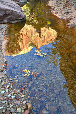 Transportation Royalty-Free and Rights-Managed Images - Zion Pool Reflection by Ray Mathis