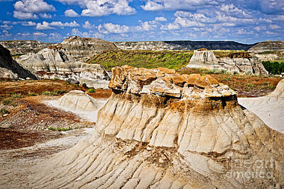 Famous Groups And Duos - Badlands in Alberta 5 by Elena Elisseeva