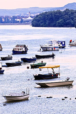 Transportation Photos - River boats on Danube 2 by Elena Elisseeva