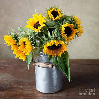 Sunflowers Royalty-Free and Rights-Managed Images - Sunflowers by Nailia Schwarz
