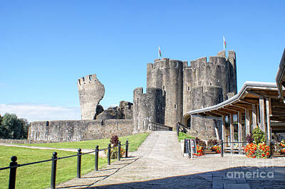 On Trend At The Pool - Caerphilly Castle by Carol Ailles