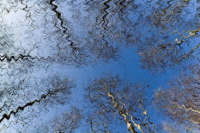 Sean Test Rights Managed Images - Epping forest Art Royalty-Free Image by David Pyatt
