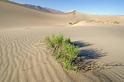 Maps Rights Managed Images - Death Valley Royalty-Free Image by Elijah Weber