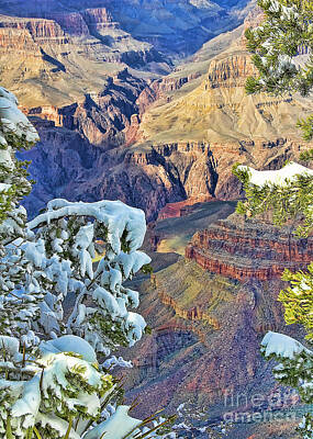 Colorful Abstract Animals - Grand Canyon by Jack Schultz