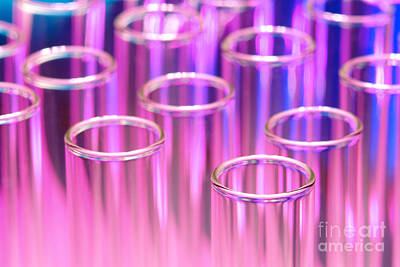 Rose - Laboratory Test Tubes in Science Research Lab by Science Research Lab