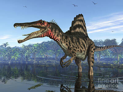 Reptiles Digital Art - A Spinosaurus Searches For Its Next by Walter Myers