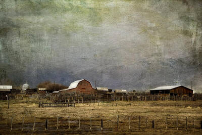 Giuseppe Cristiano - Alberta Farm land by Diane Dugas
