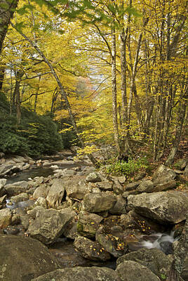 Prescription Medicine - Autumn in the Smoky Mountains 6069 by Michael Peychich