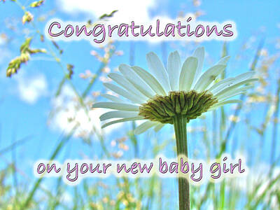 Grateful Dead - Baby Girl Congratulations Greeting Card - Oxeye Daisies by Carol Senske
