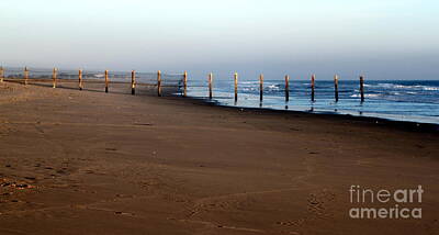 Ingredients Rights Managed Images - Beach Fence Royalty-Free Image by Henrik Lehnerer