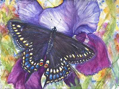 Modern Sophistication Modern Abstract Paintings - Black Swallowtail Butterfly by Patricia Allingham Carlson