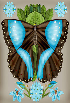 Animal Portraits - Blue Tiled Butterfly by Anne Norskog
