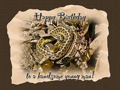 Train Photography - Boy Birthday Greeting Card - Baby Garter Snake by Carol Senske