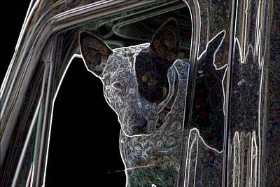 Modern Abstraction Pandagunda - Bull Terrier by One Rude Dawg Orcutt